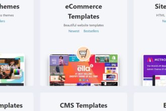 22 The Best WordPress Themes for SEO Experts Free